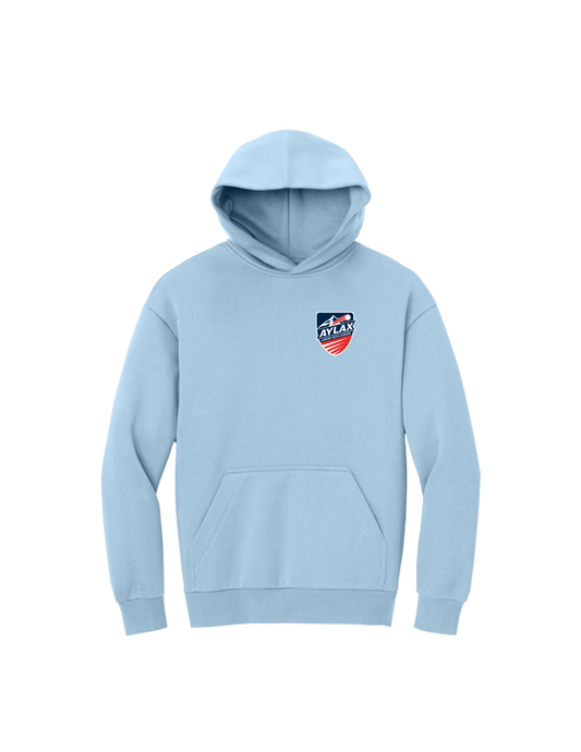 AYL District VIT Heavyweight Fleece Hoodie (Left Chest Logo)
