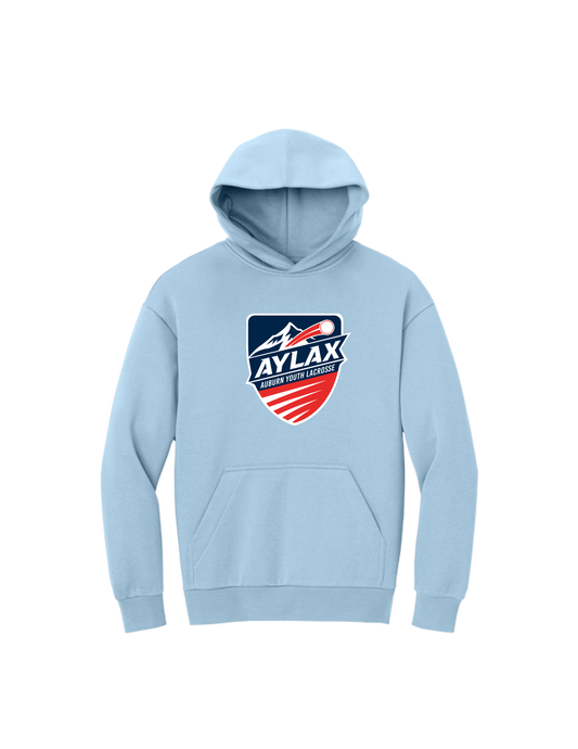 AYL District VIT Heavyweight Fleece Hoodie (Center Logo)